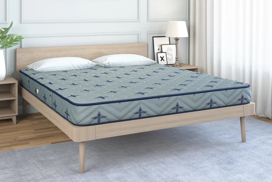 Dolphin Mattress